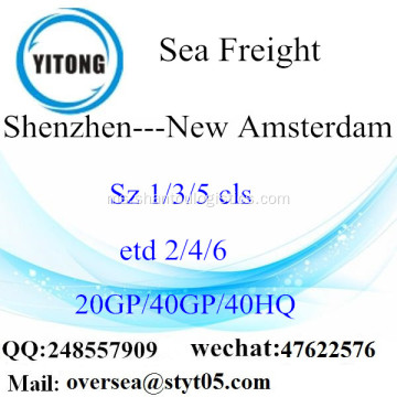 Shenzhen Port Sea Freight Shipping ke New Amsterdam